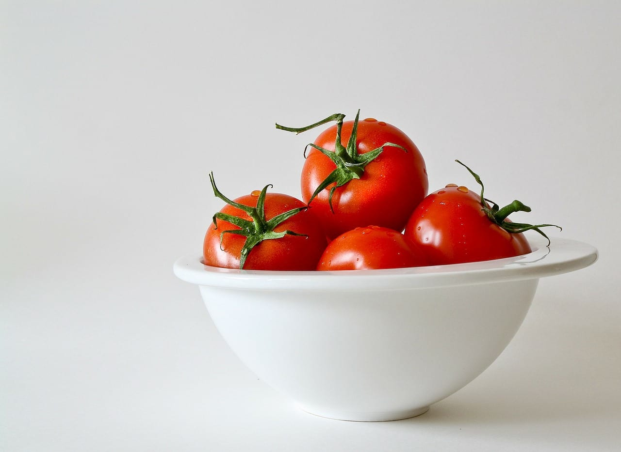 odporność-pomidory